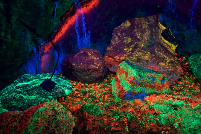 Rocks glowing in fluorescent colors.