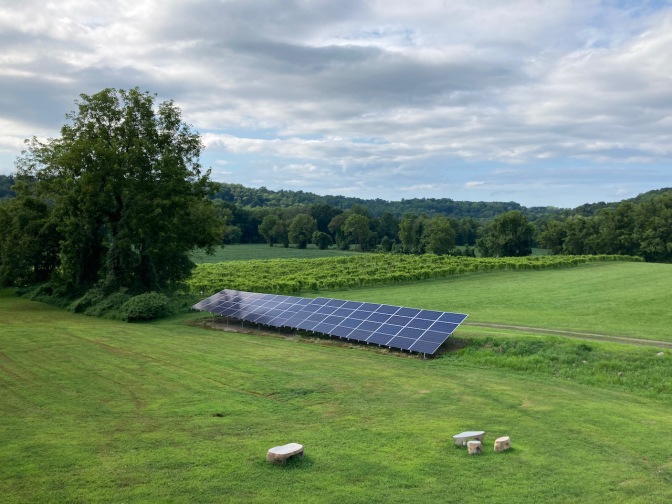 Vineyard, with solar panels. A tree-lined forest is in the background.