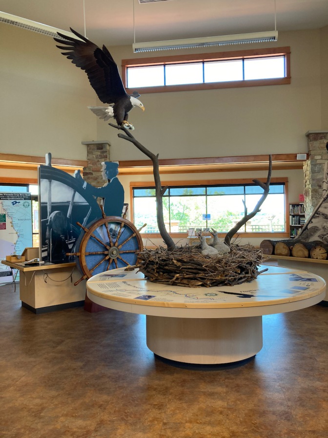 Interior of Great River Road Visitor Center with a display on bald eagles in foreground.